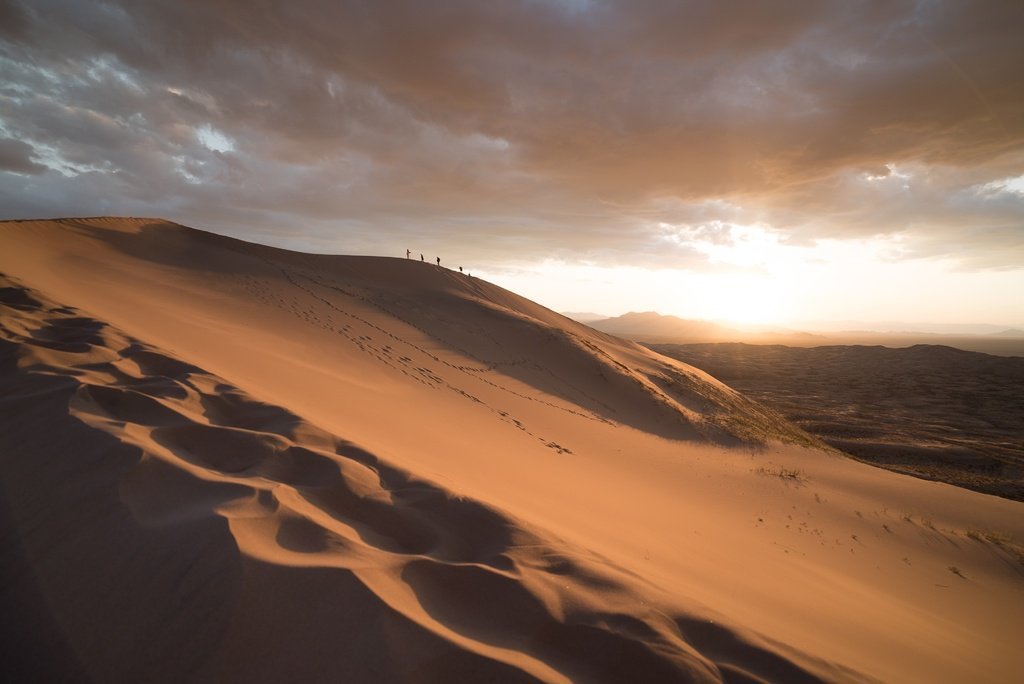 Finding the Light: Tips for Perfecting Your Photography Skills